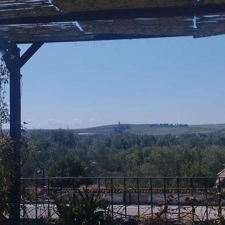 My Small Penthouse With Views.Tourism & Tranquility & Sun Apartamento Córdoba Exterior foto
