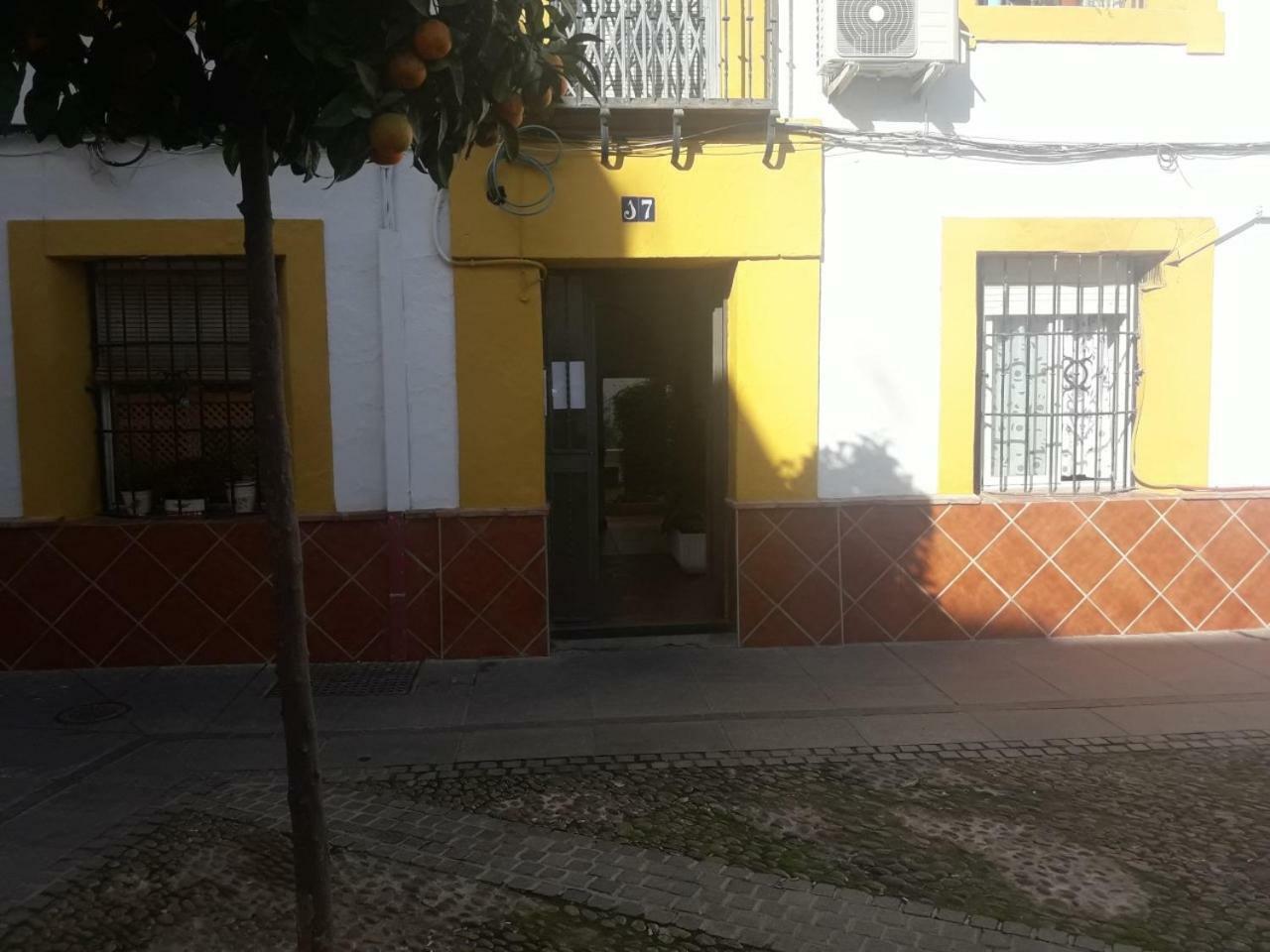 My Small Penthouse With Views.Tourism & Tranquility & Sun Apartamento Córdoba Exterior foto